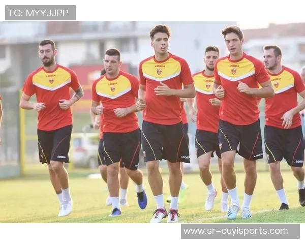 黑山与捷克足球赛精彩对决回顾及赛后分析